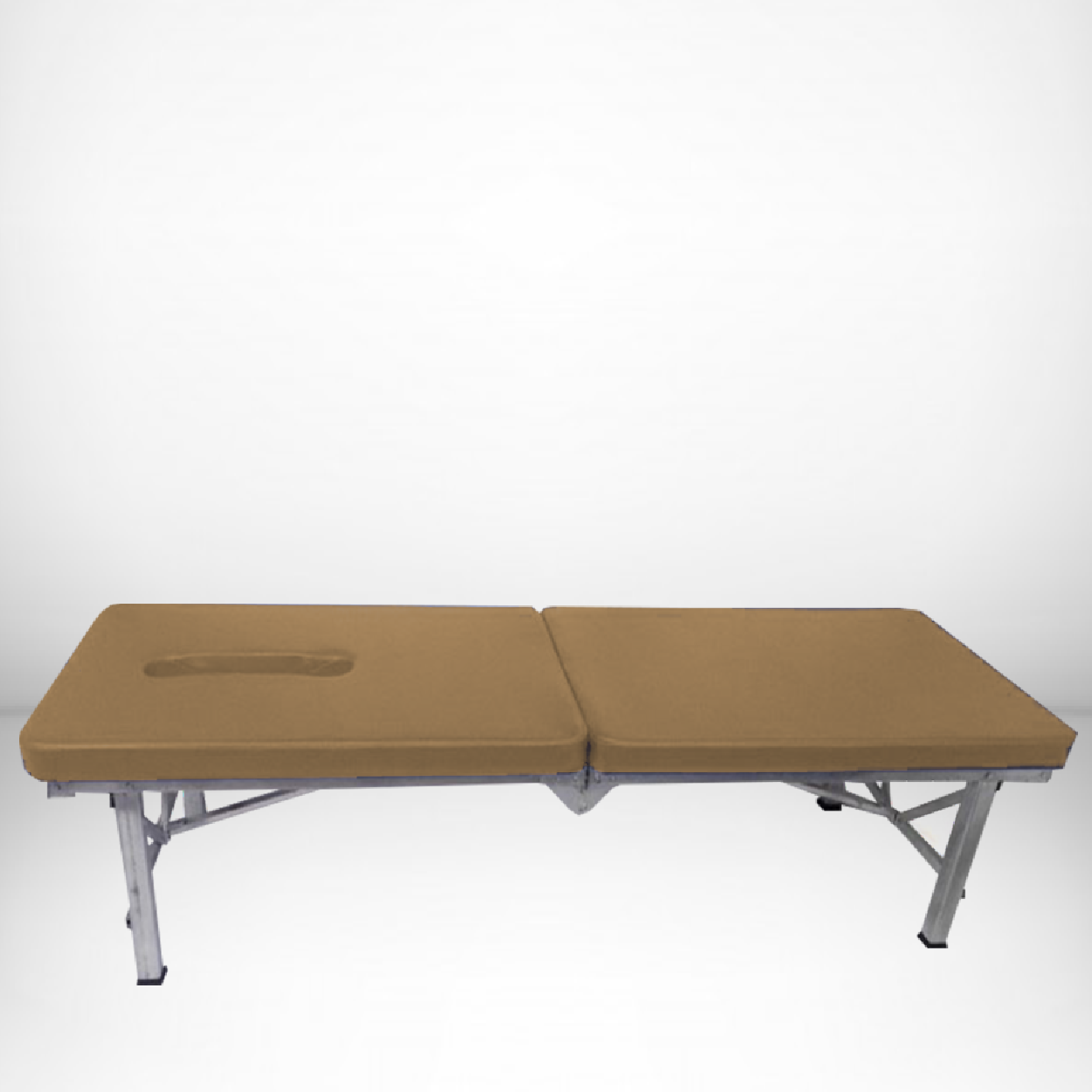 mesa-1-came model 1 came