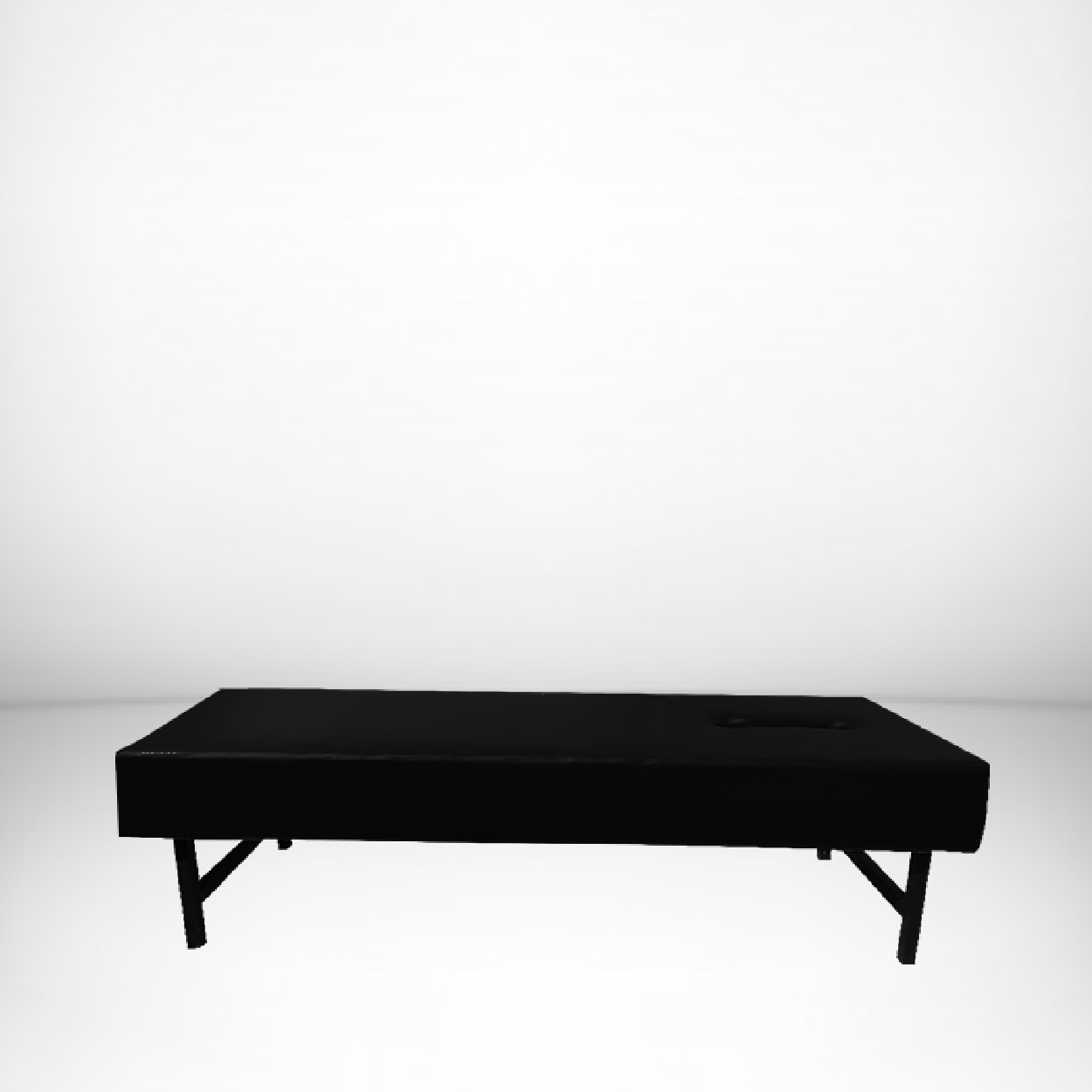 model-s-negra model S